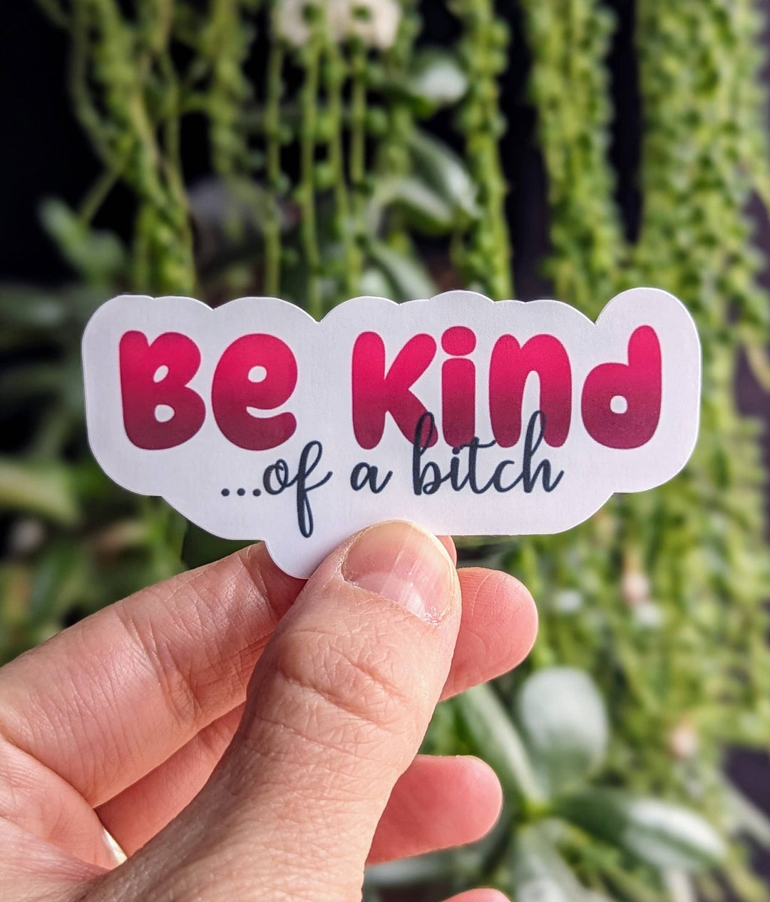 Be Kind of a Bitch Vinyl Sticker