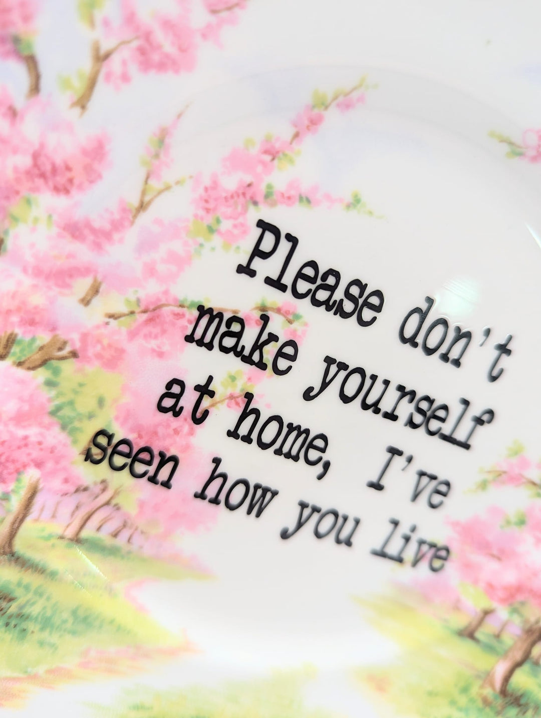 Please don't make yourself at home, I've seen how you live - altered vintage plate - 2