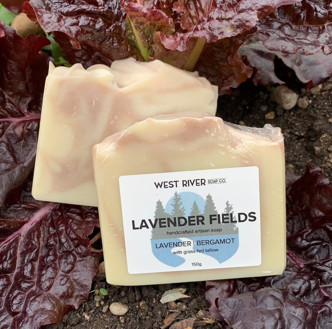 Lavender Fields Soap Bar - 1