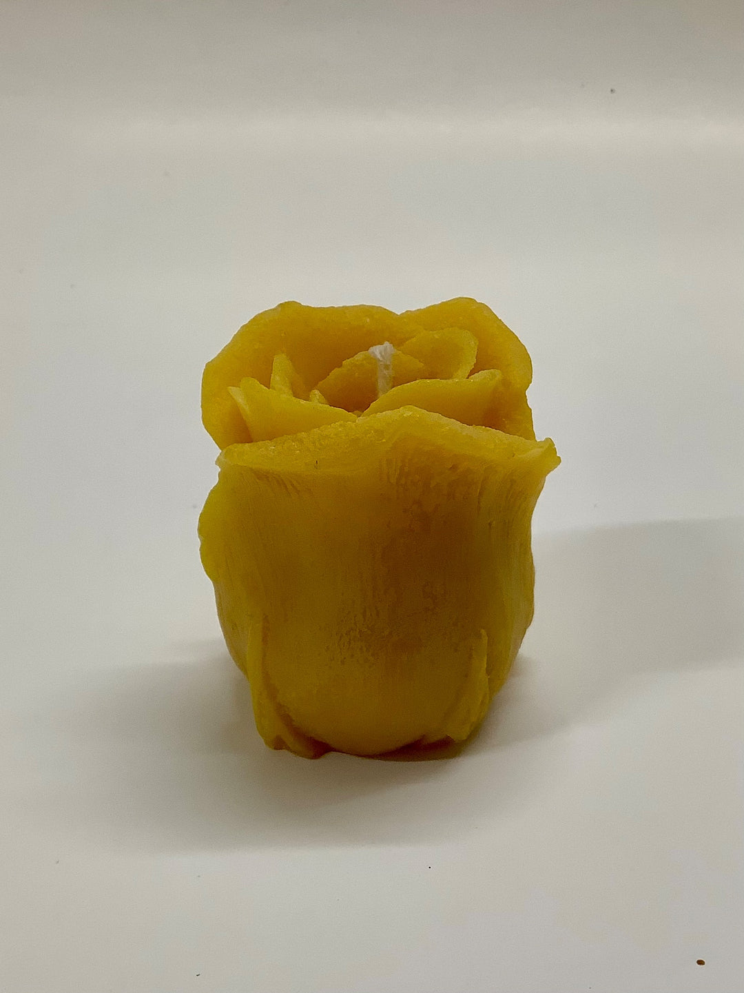 Classic Rose - 1