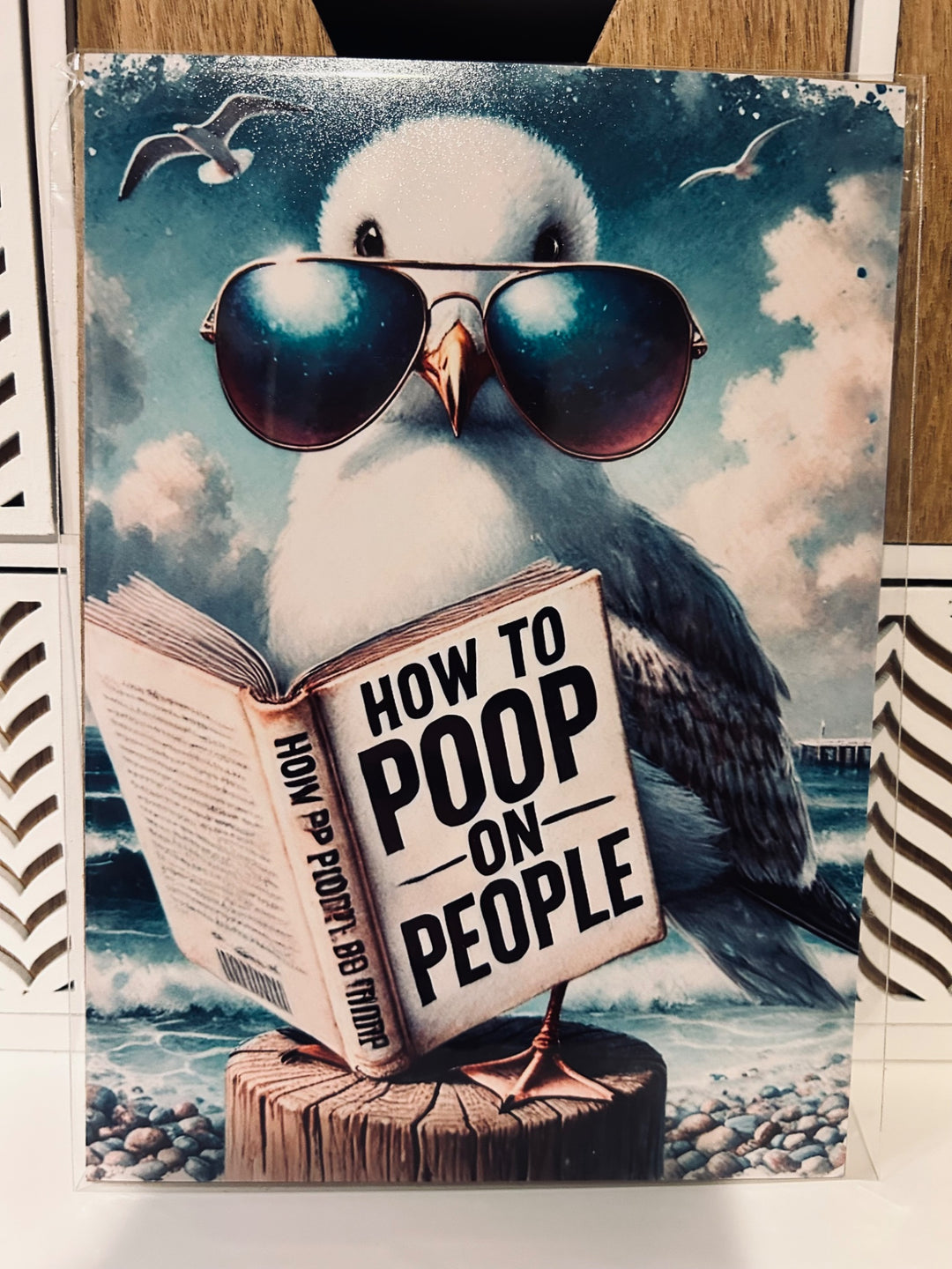 Funny Seagull (5x7 print) - 1