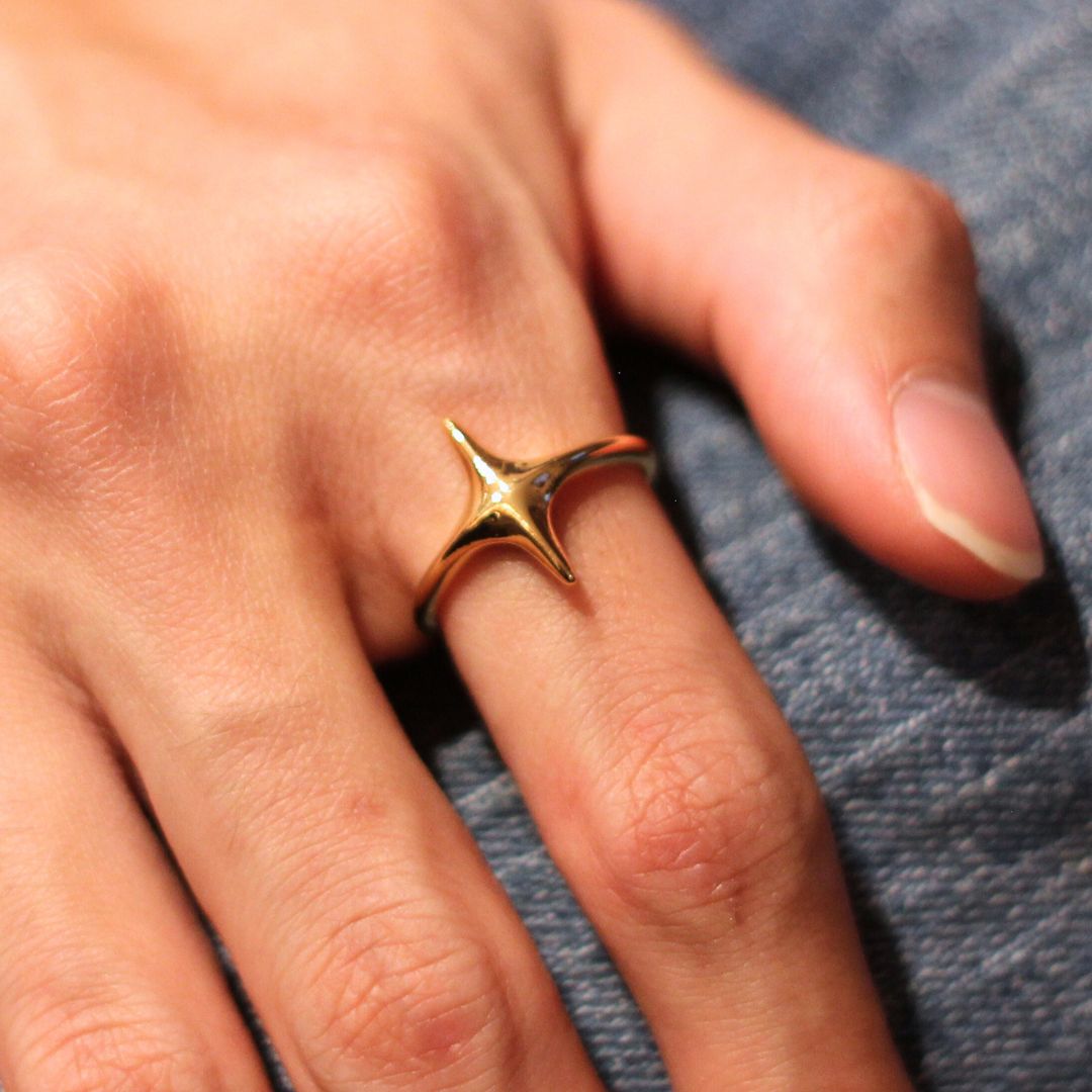 66329a1d0759253713889ea6_bak-star-ring-1_1747688466886.jpg