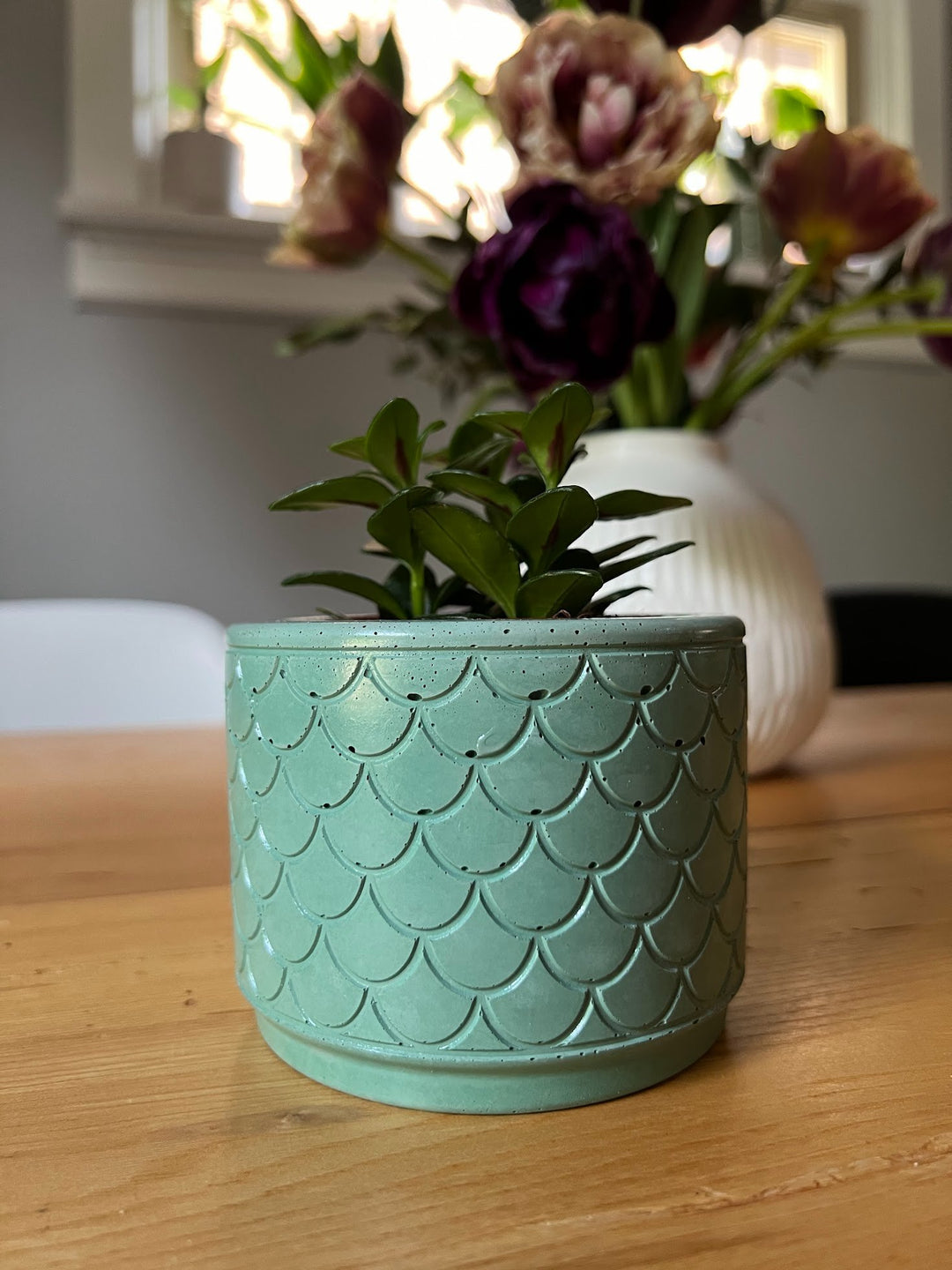 Gorgon Planter Pot