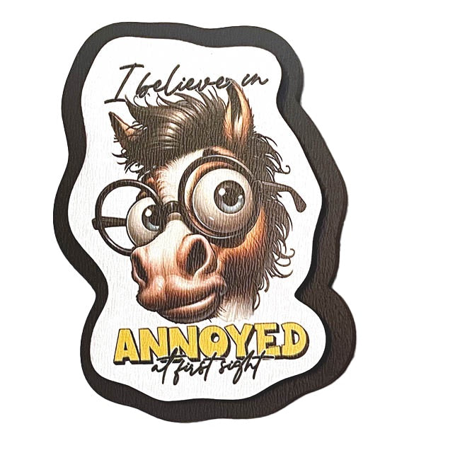 Magnet - I believe in annoyed at first sight
