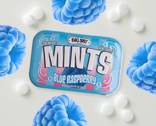 Blue Raspberry Sugar Free Mints