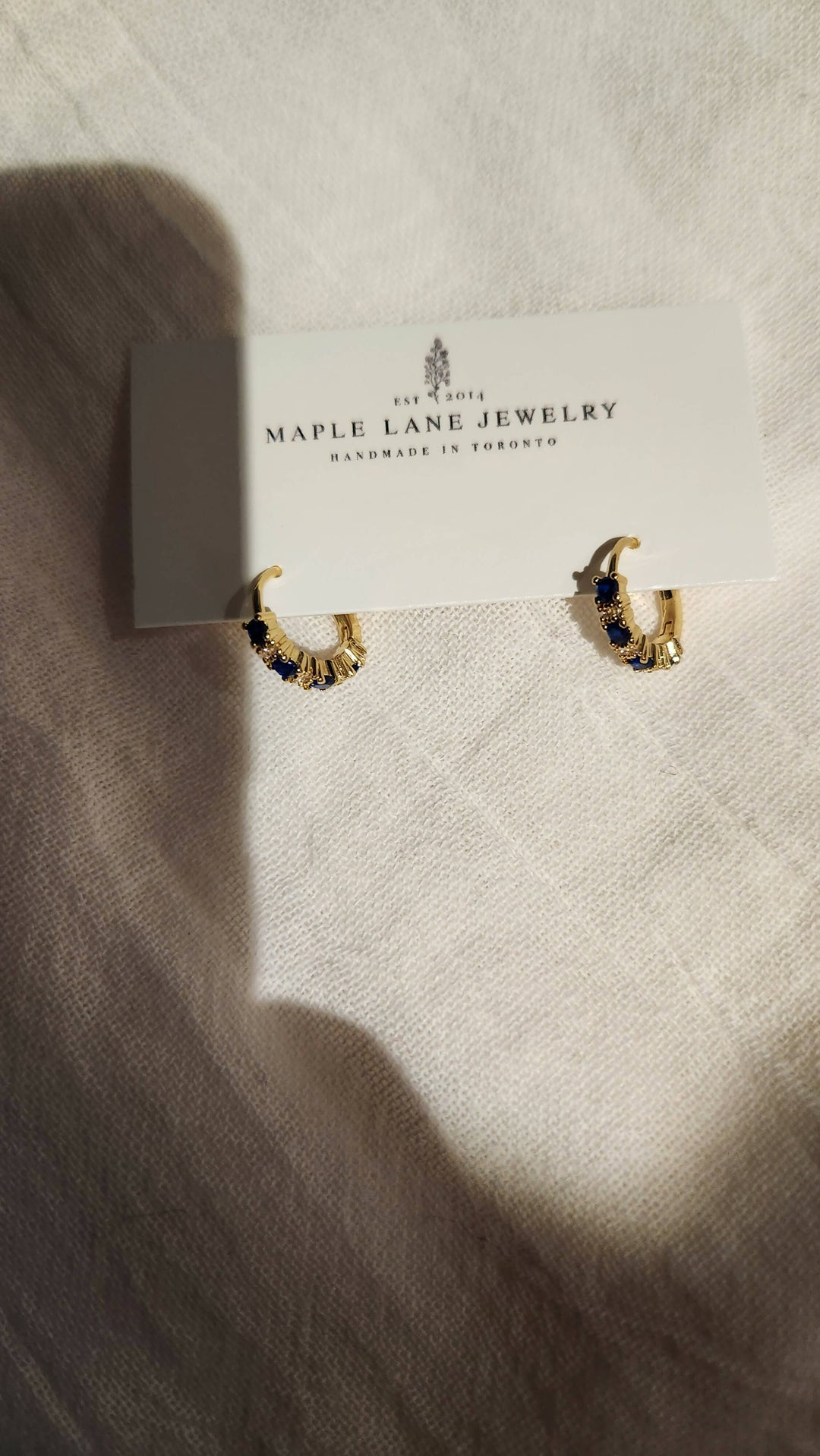Double Colour Navy CZ Hoops