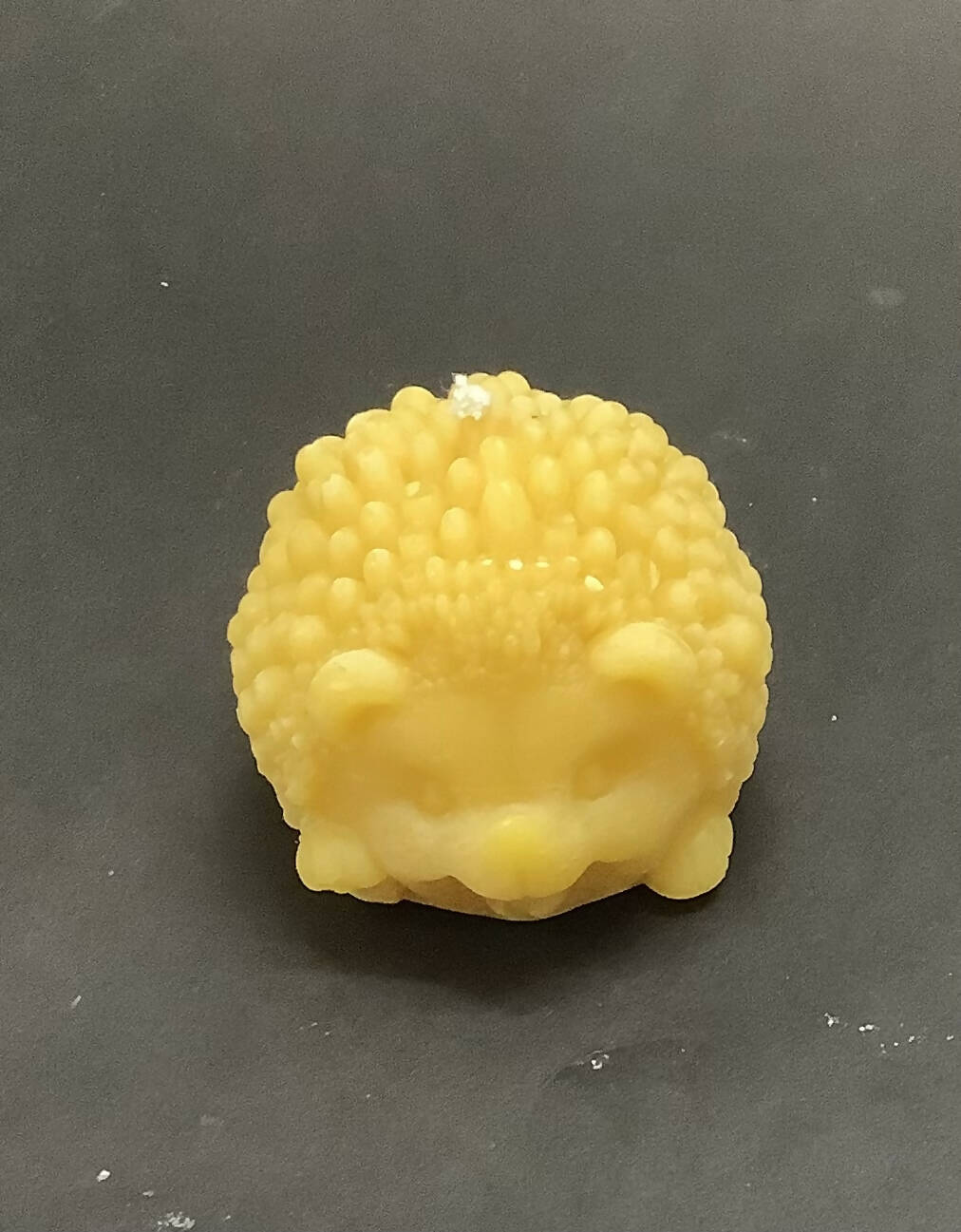 Hedgehog Beeswax Candle - 1