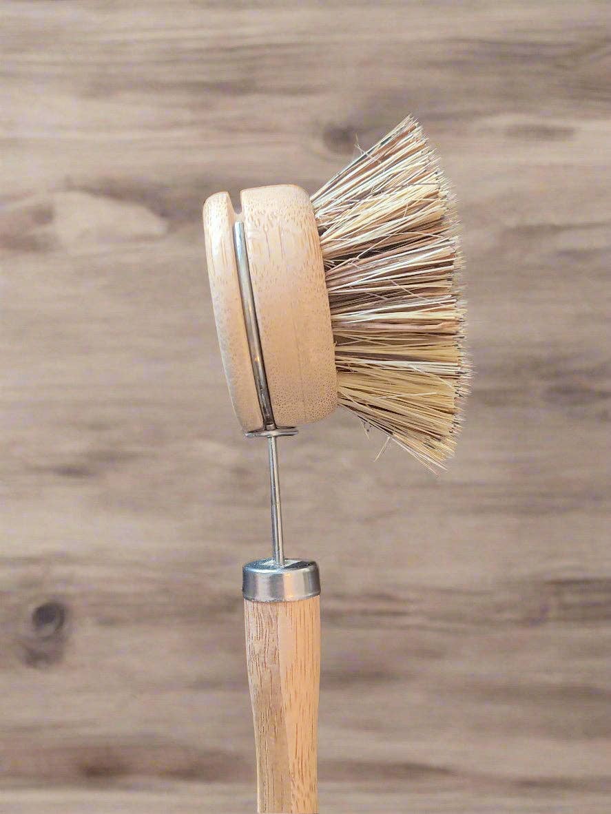 Compostable Dish Brush Refill