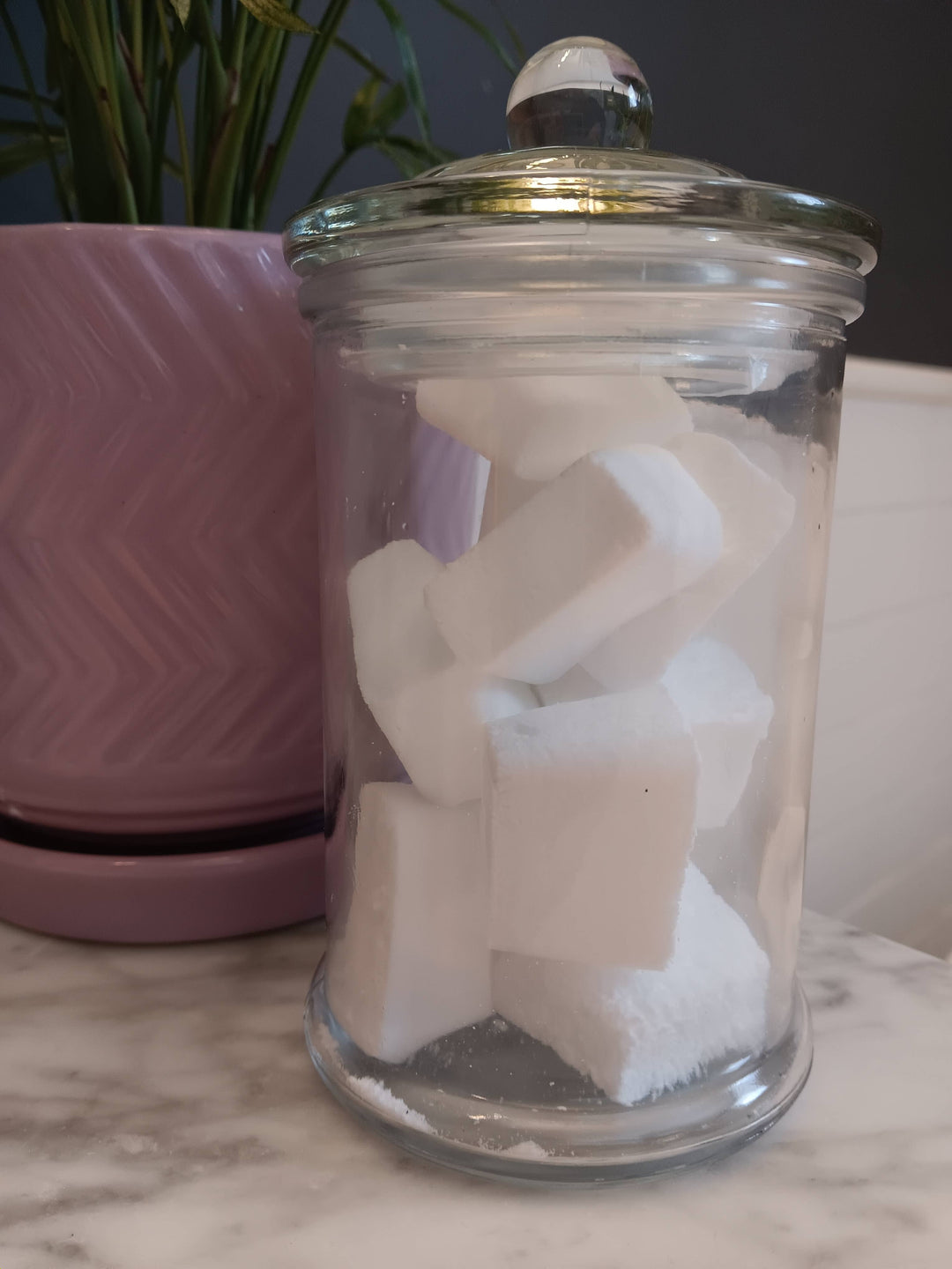 Toilet Cleaning Tablets