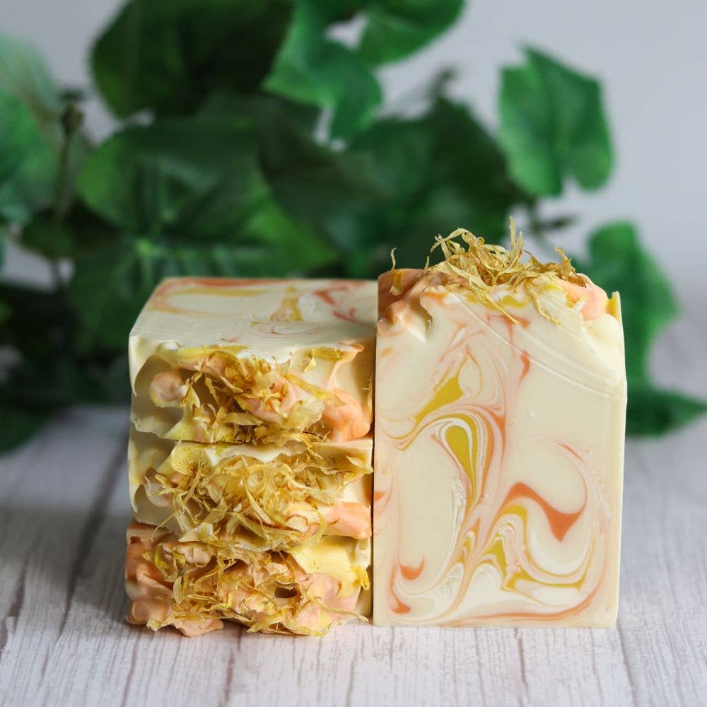 Eucalyptus Infusion Bar Soap