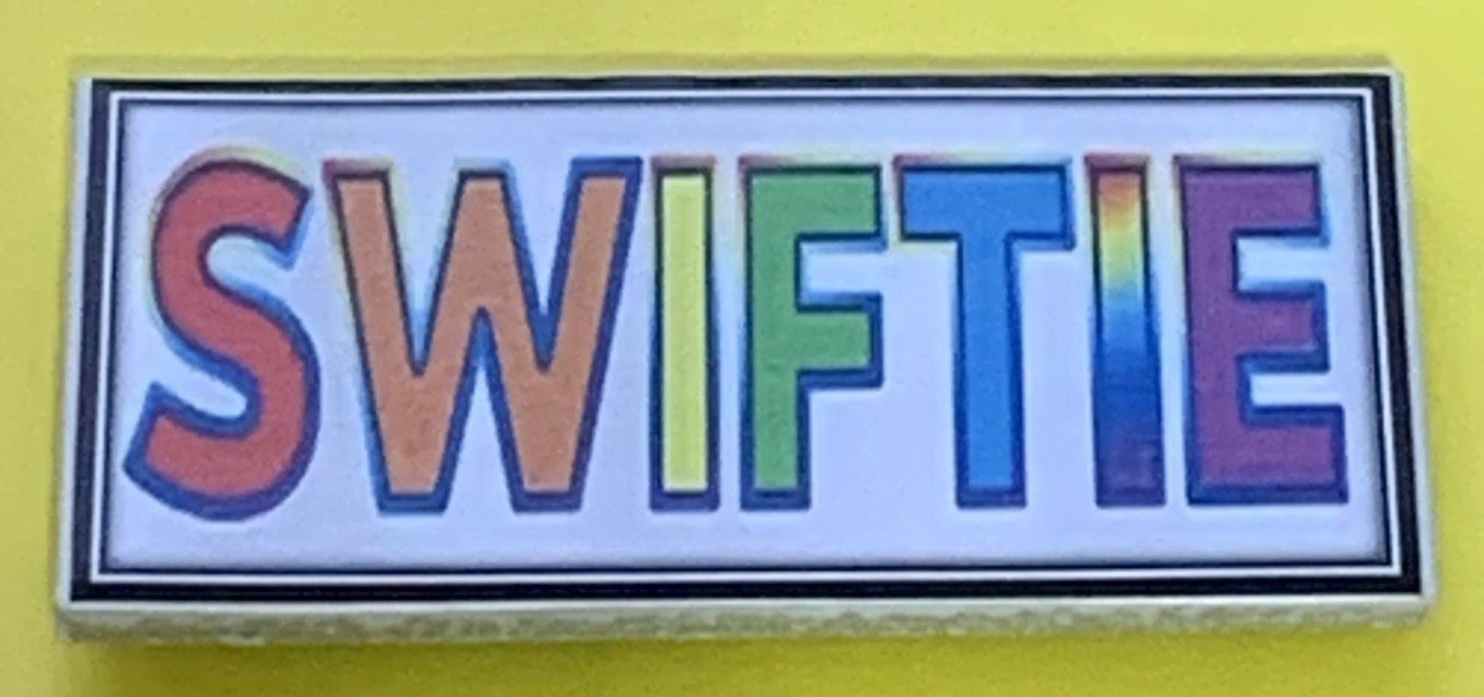 Swiftie Magnet 2" x 4" - 1