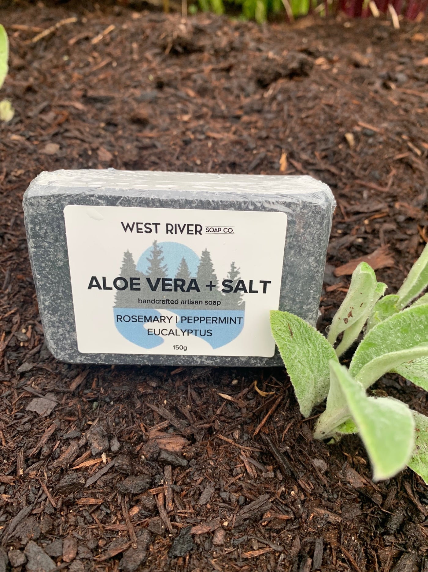 Aloe Vera + Salt Soap Bar - 1