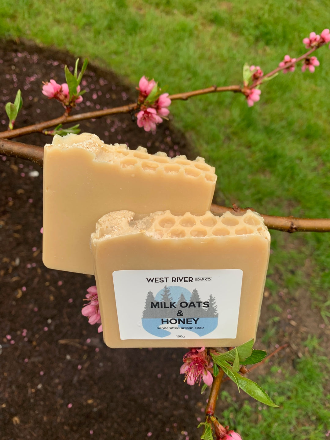 Milk, Oats & Honey Soap Bar - 1