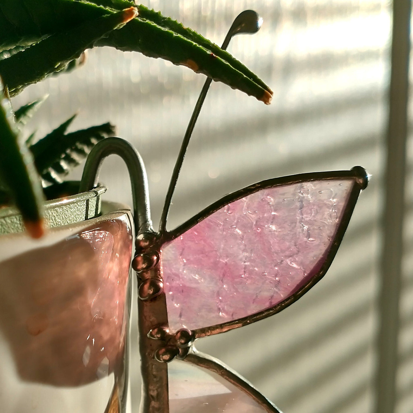 Glass Houseplant Hook - Pink - 1