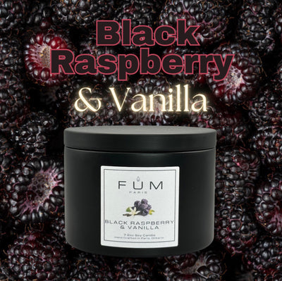 Black Raspberry & Vanilla Soy Candle - 1