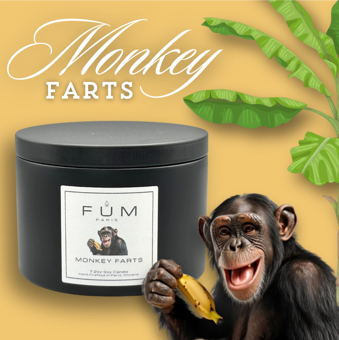 Monkey Farts Soy Candle - 1