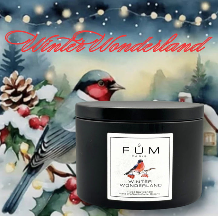 Winter Wonderland Soy Candle - 2