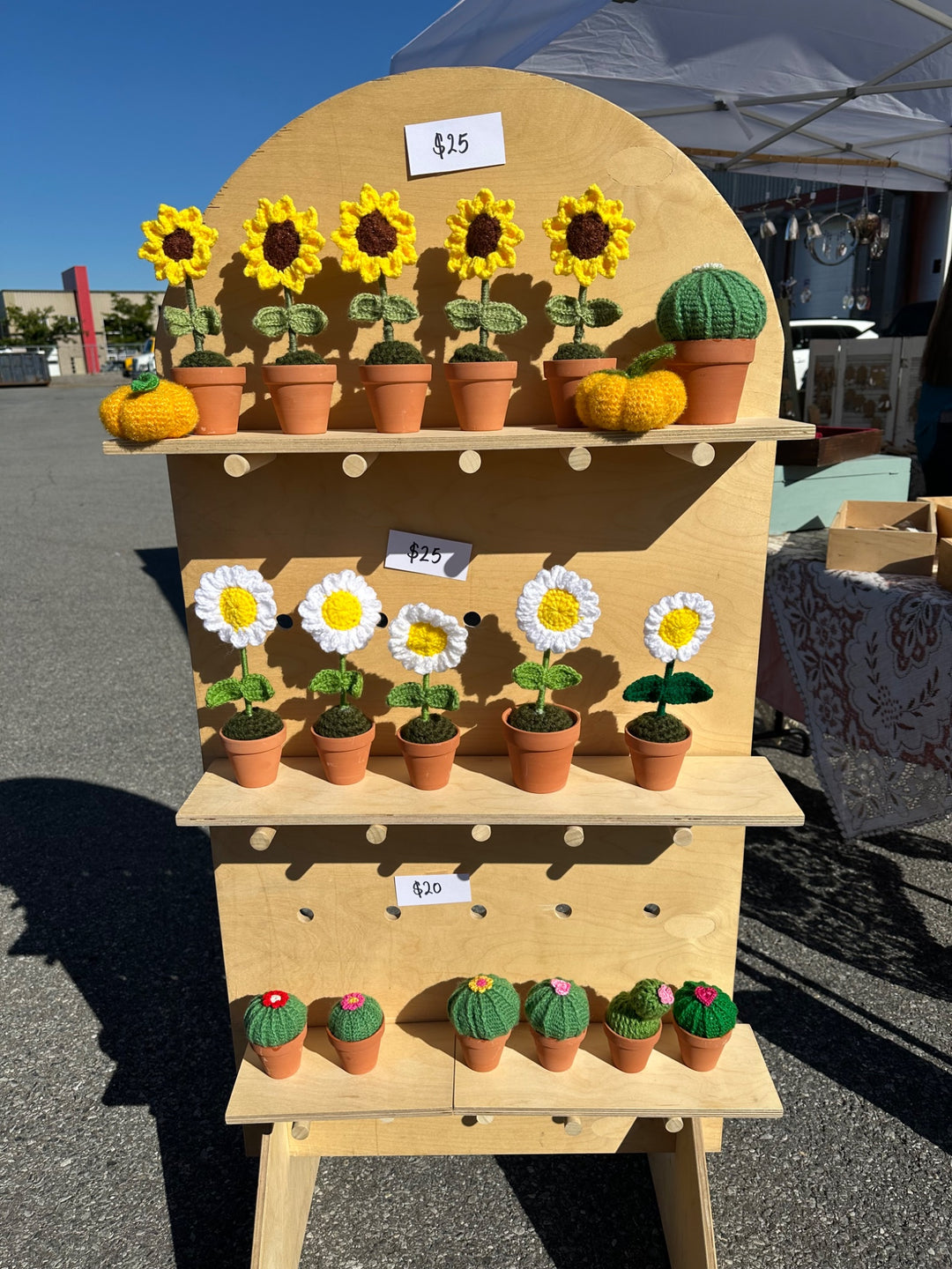 Potted Sunflowers  - 2