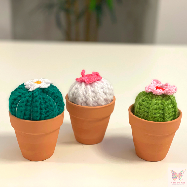 Potted Cactis - 1