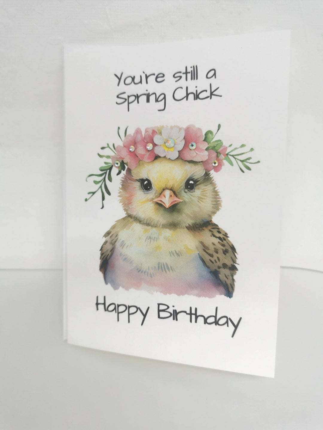 66329a1d0759253713889ea6_birthday-chick_1774395031423.jpg