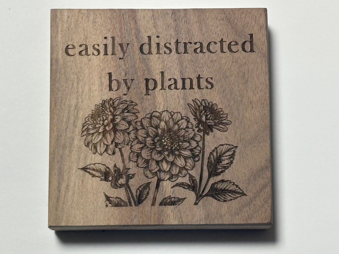 66329a1d0759253713889ea6_distracted_1774712393241.jpg