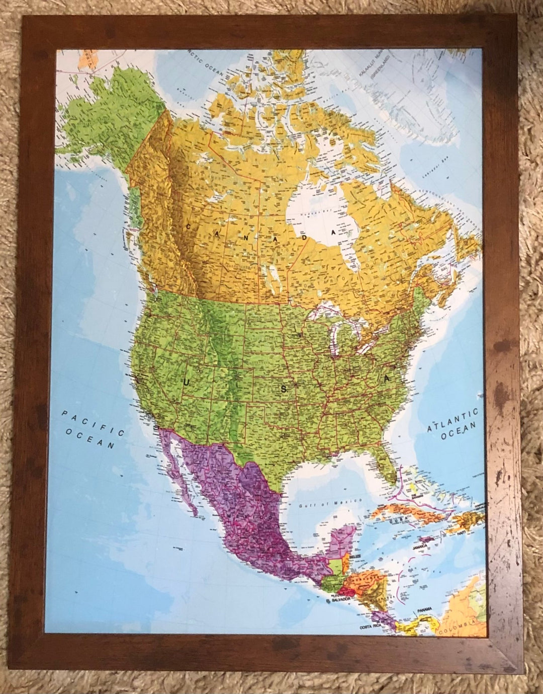 66329a1d0759253713889ea6_img-3330_1759066246516.jpg