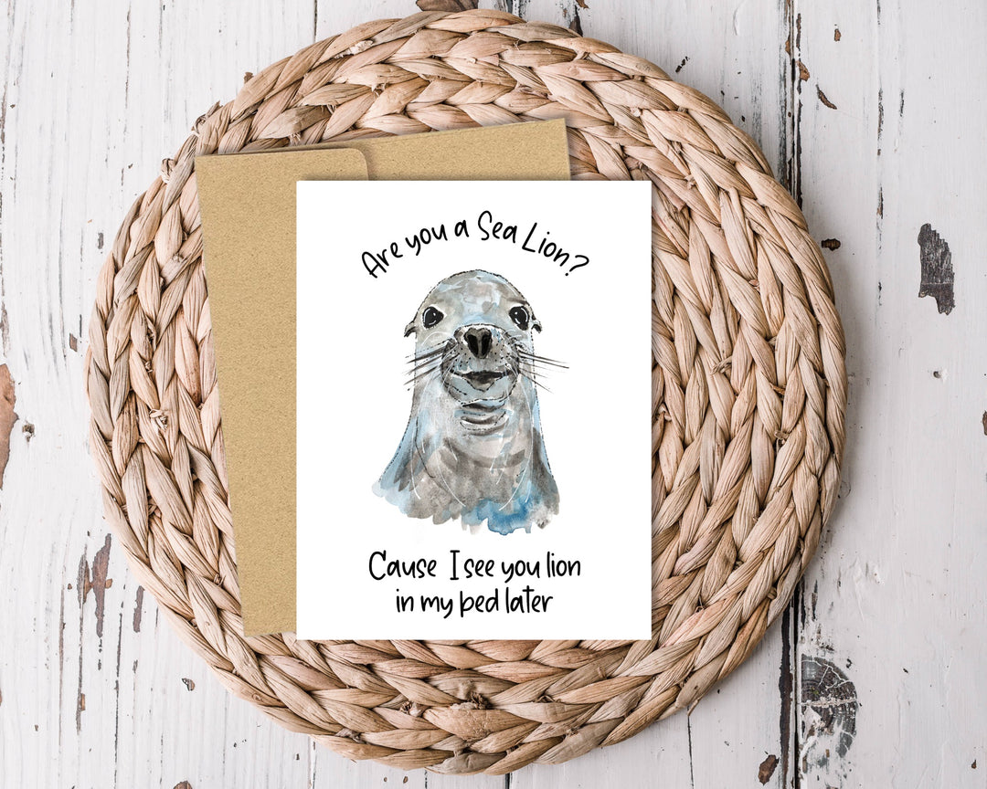66329a1d0759253713889ea6_love-sea-lion-_1760147884276.jpg