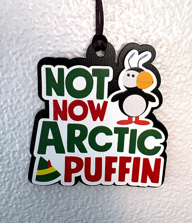 66329a1d0759253713889ea6_not-now-artic-puffin_1761317268131.jpg
