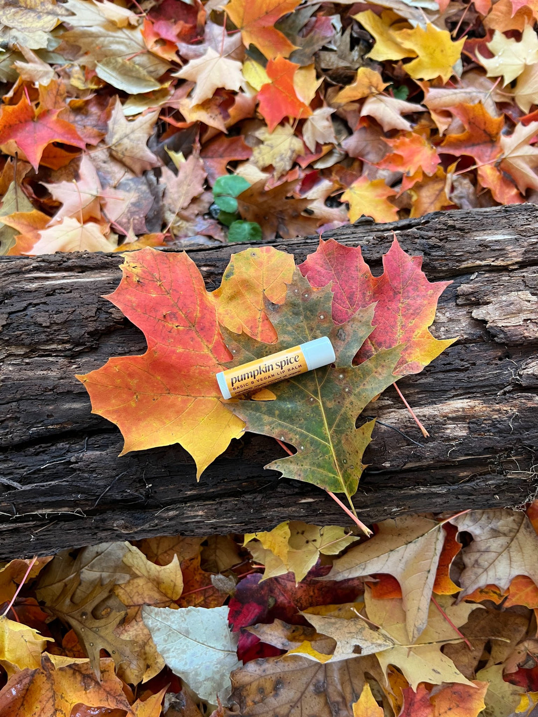 66329a1d0759253713889ea6_pumpkin-spice-lip-balm-on-leaves_1789836334390.jpg