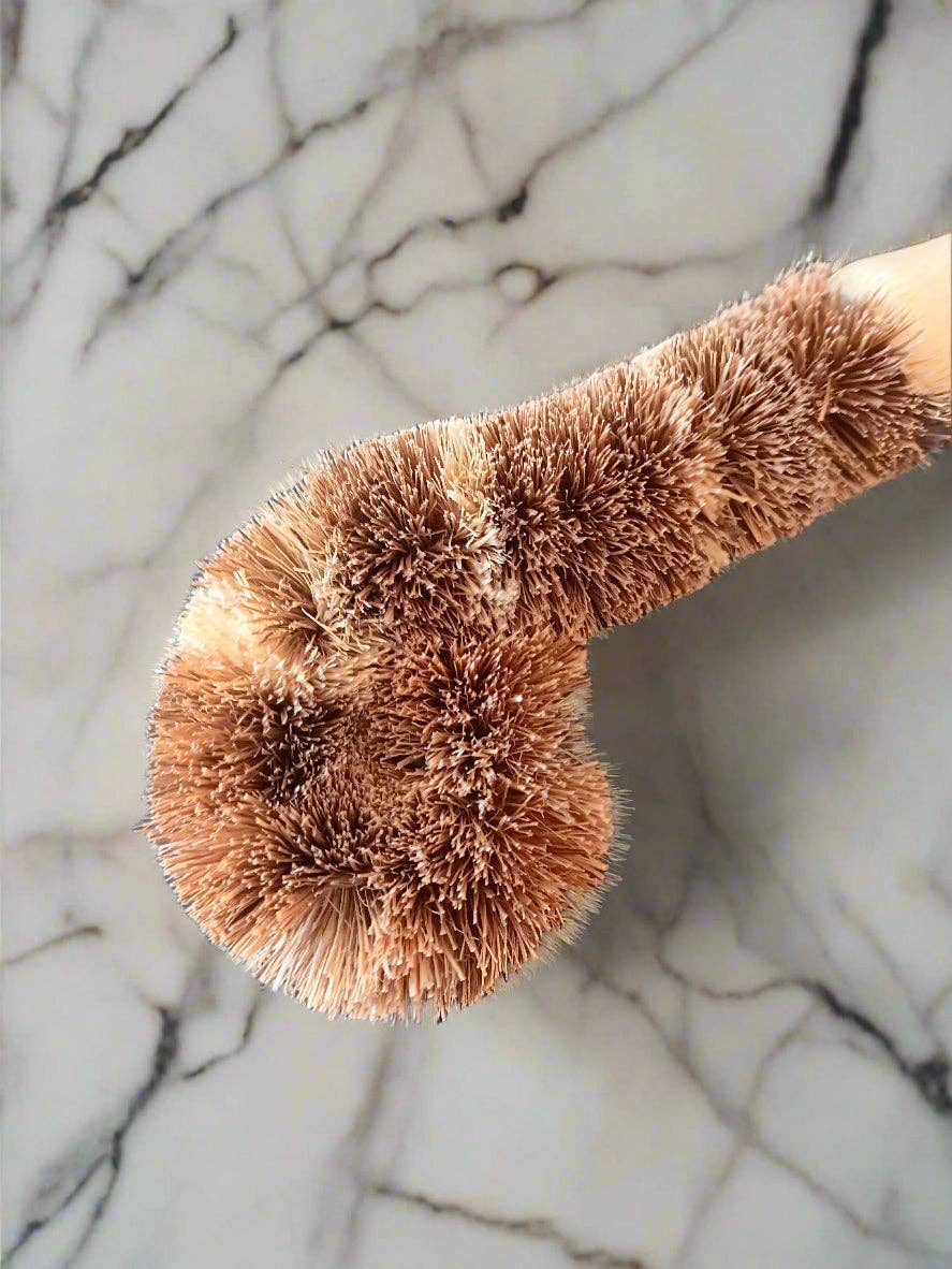 Compostable Dish Brush