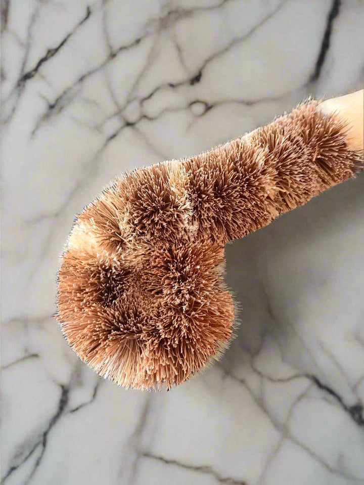 Compostable Dish Brush Refill