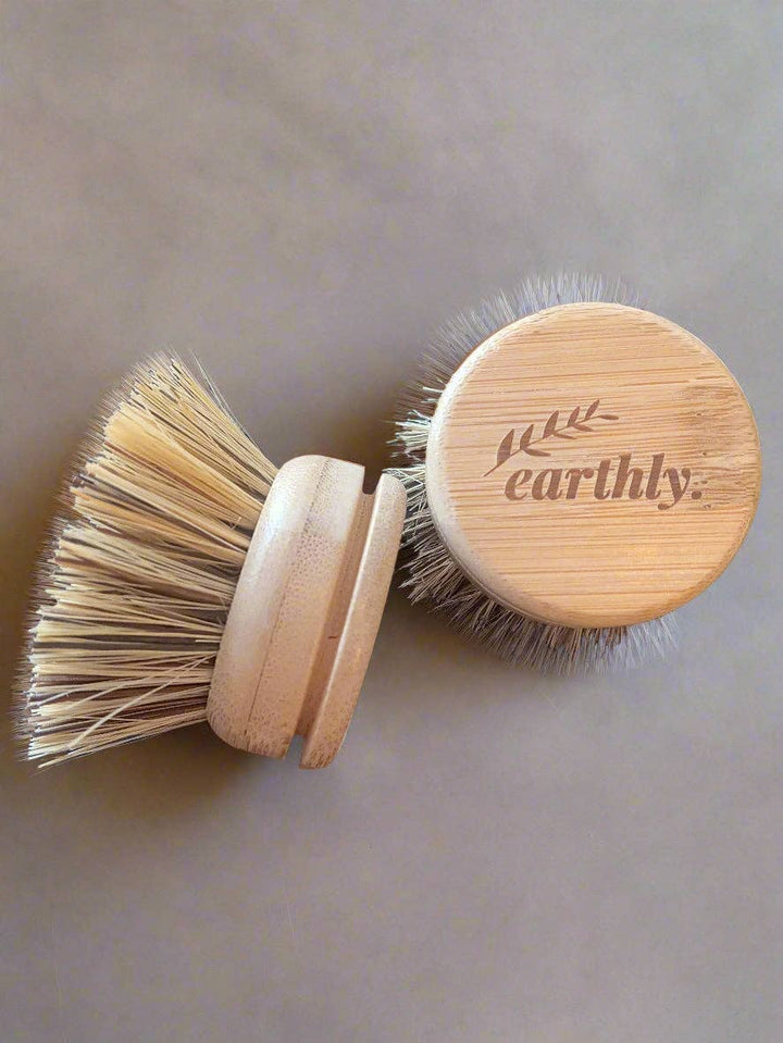 Compostable Dish Brush Refill