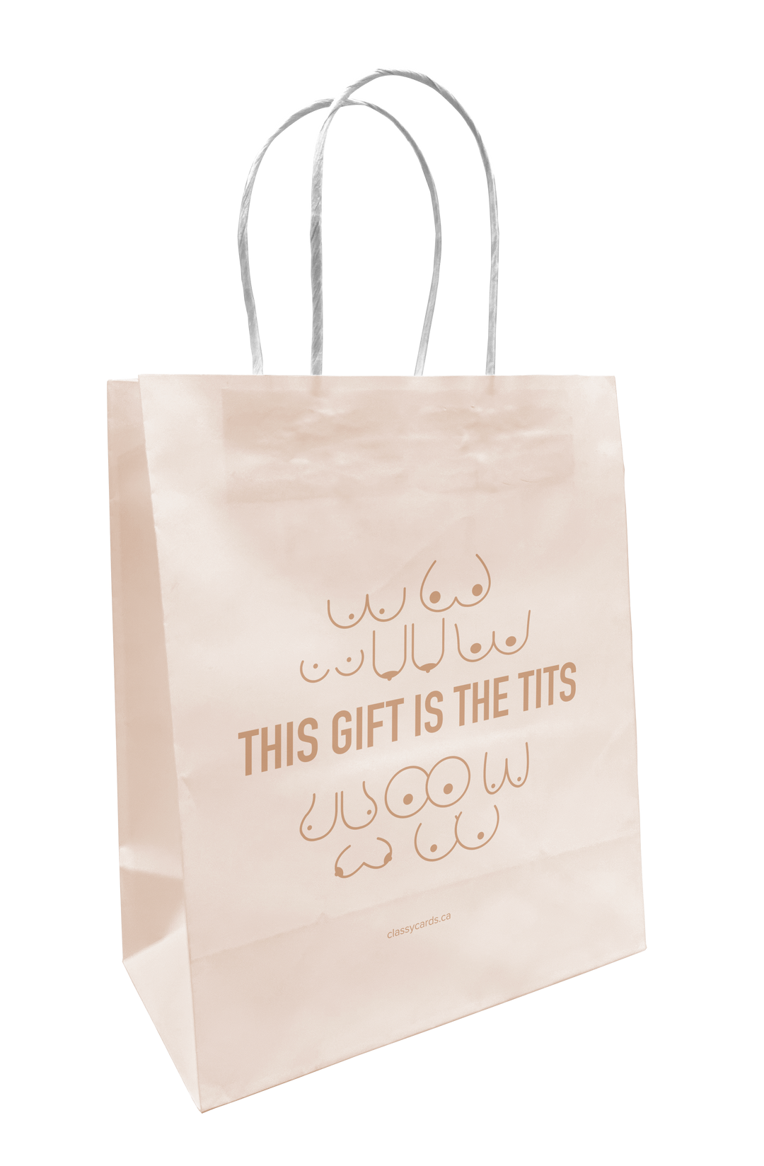 This Gift is the Tits Gift Bag