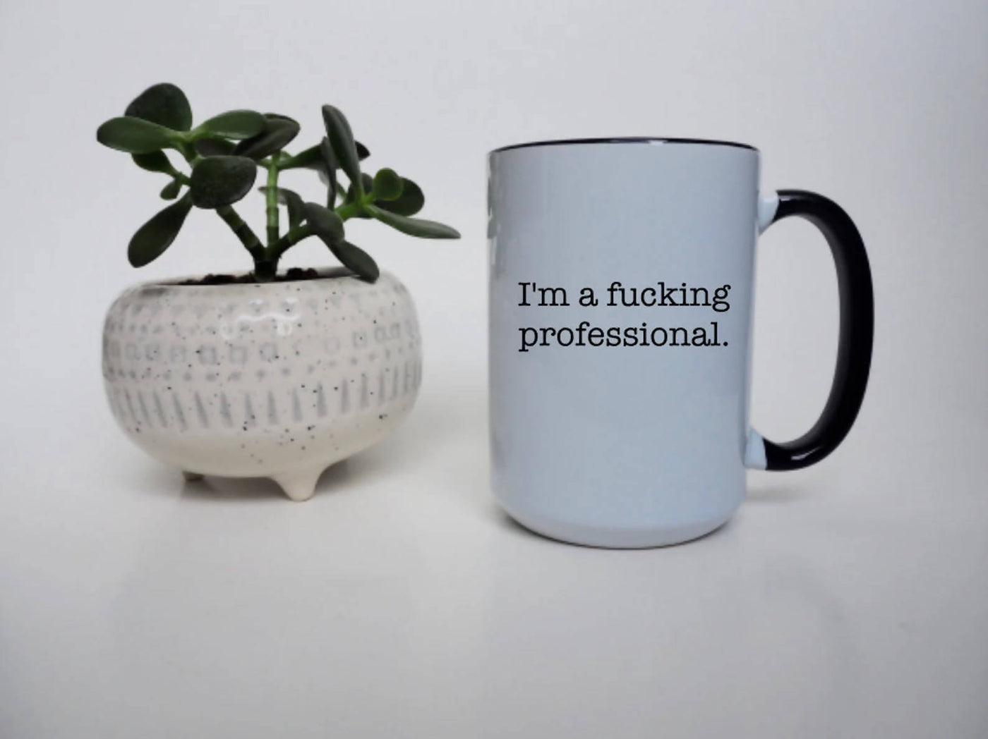 I'm a Fucking Professional Mug