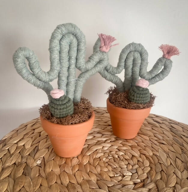 Macrame Potted Cactus